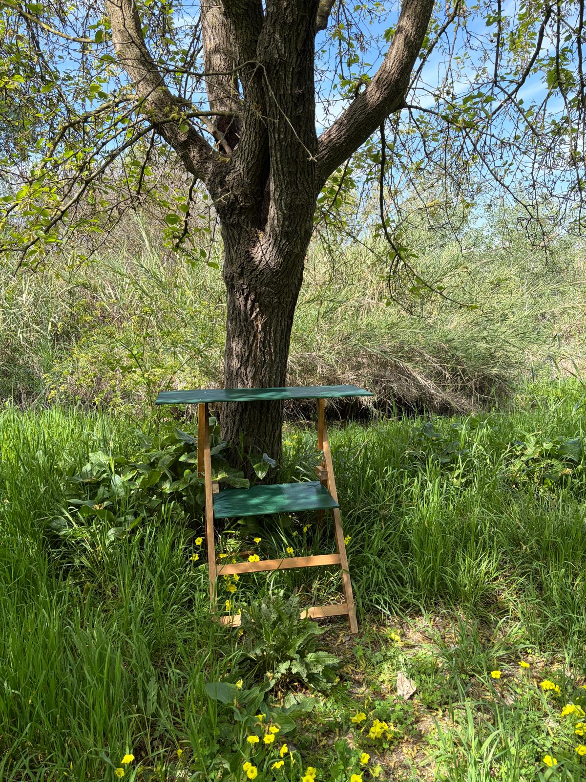 Refugio