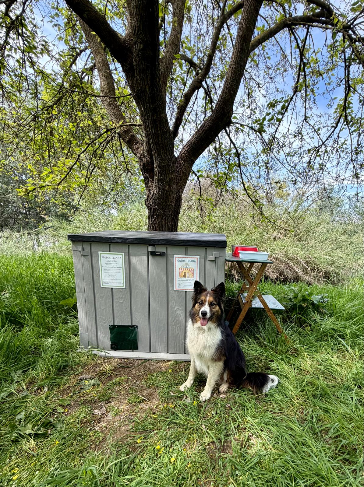 Refugio